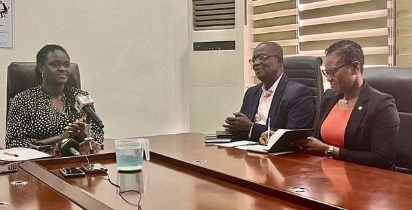 Galamsey: Ghana needs at least $300million to restore pollut...