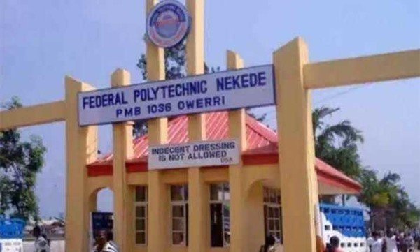Nekede poly suspends lecturer for assaulting student