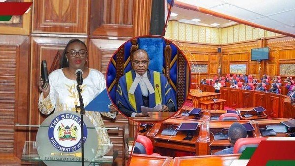 Gloria Orwoba storms out of Senate after defying Speaker Kingi's order: 