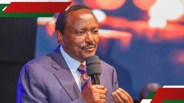 Kalonzo Musyoka writes to Raila Odinga over NADCO report after Ruto pact