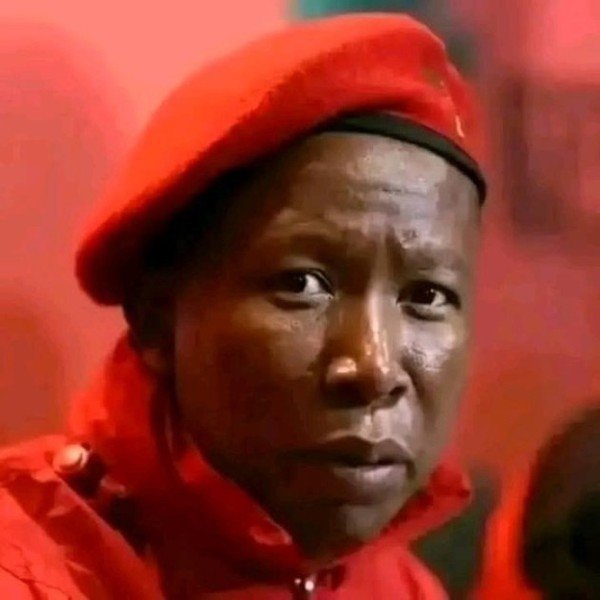 AfriForum seeks international sanctions against Julius Malema over “k*ll the boer” chant