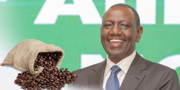 Govt Announces Ksh18 Million Bailout of Dormant Coffee Factory in Mt Kenya