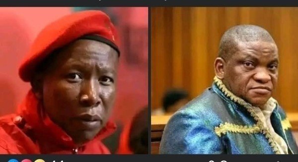 Julius Malema vows to seek justice for alleged victims of Omotoso following acquittal