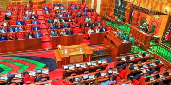 MP Calls for Total Shutdown of National Assembly