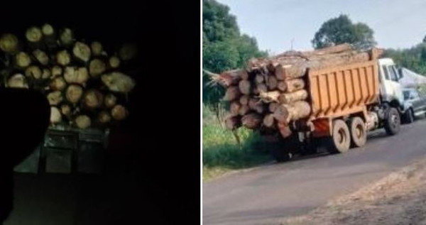 CS Barasa Addresses Tree Logging After Viral Post