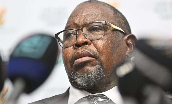 Zero-rated food and social grants won't soften VAT hike blow – Parliament's budget office