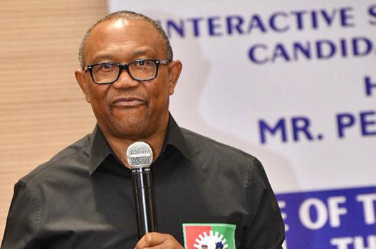 How I Was Barred From Visiting Benue IDP Camps — Peter Obi