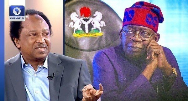 Shun Nepotism In Key Appointments, Shehu Sani Advises Tinubu