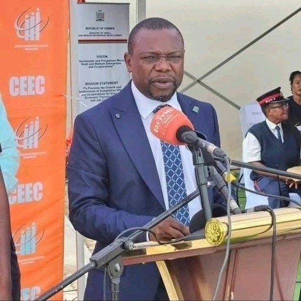 THOSE COMPLAINING OF HIGH MEALIE MEAL PRICES ARE LAZY – MUBANGA