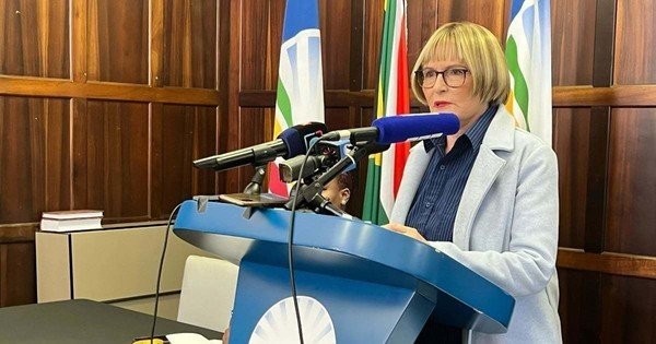 DA claims victory in getting Treasury to drop its intended VAT increase