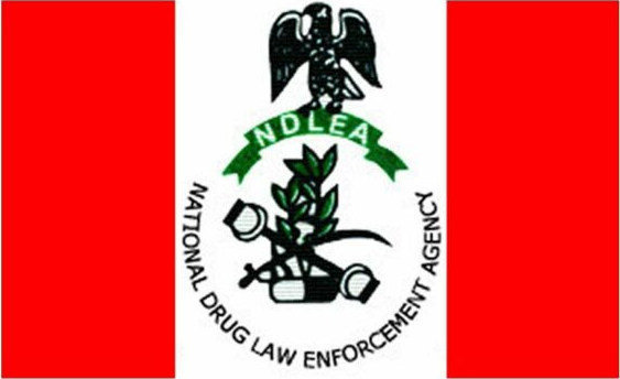 NDLEA recovers N1bn drugs, others from suspects in Lagos hotel raid