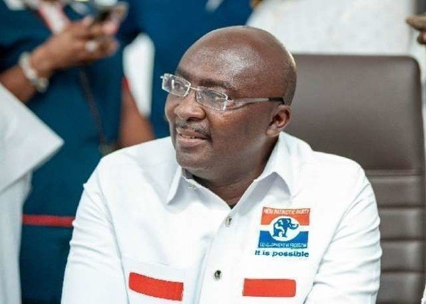 Criticism from within the party hurt NPP’s 2024 campaign – B...