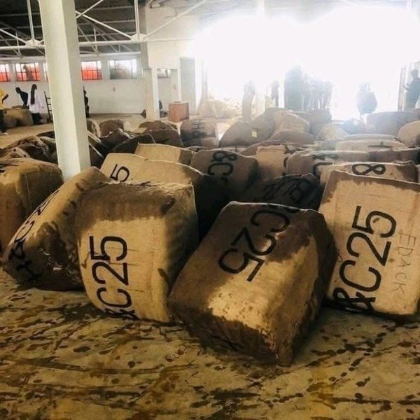 FARMERS’ TOBACCO SOAKED AS RAINS HIT NAMBOARD SHEDS — TBZ PROMISES URGENT ACTION