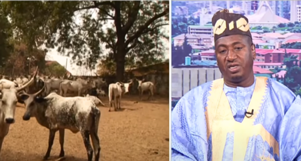 Politicians Fueling Plateau Crisis, Not Herders — Miyetti Allah Secretary