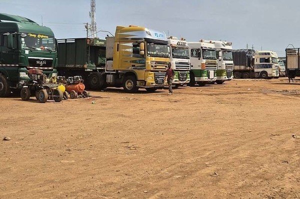 Stop harassing transit truck drivers — Prof. Gyampo tells Po...