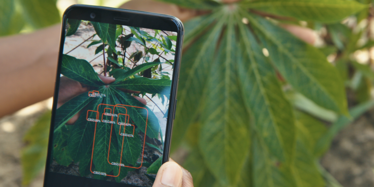 The future of AI research is in Africa