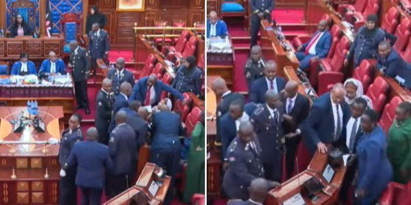 Drama as ODM Senator is Thrown Out of Senate