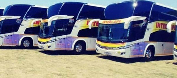 MPs left shocked by Intercape's presentation on its security challenges